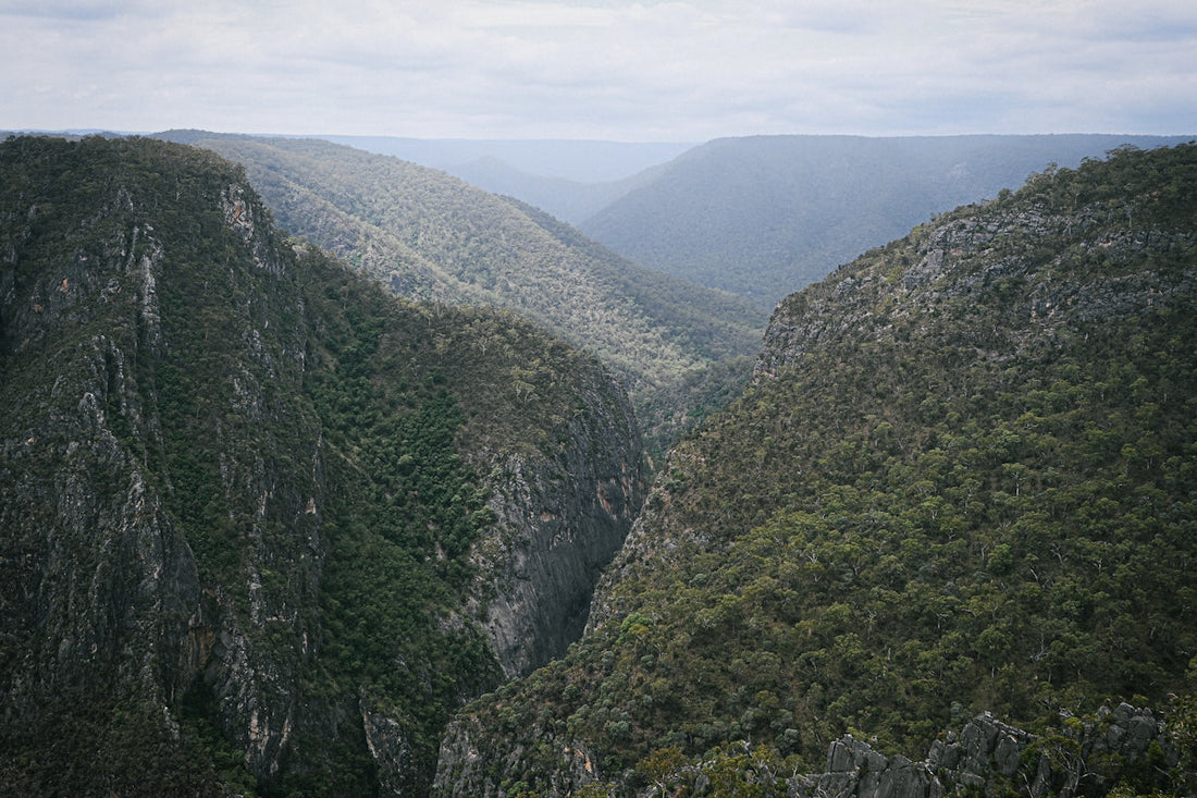 A view of a valley from a high point of view