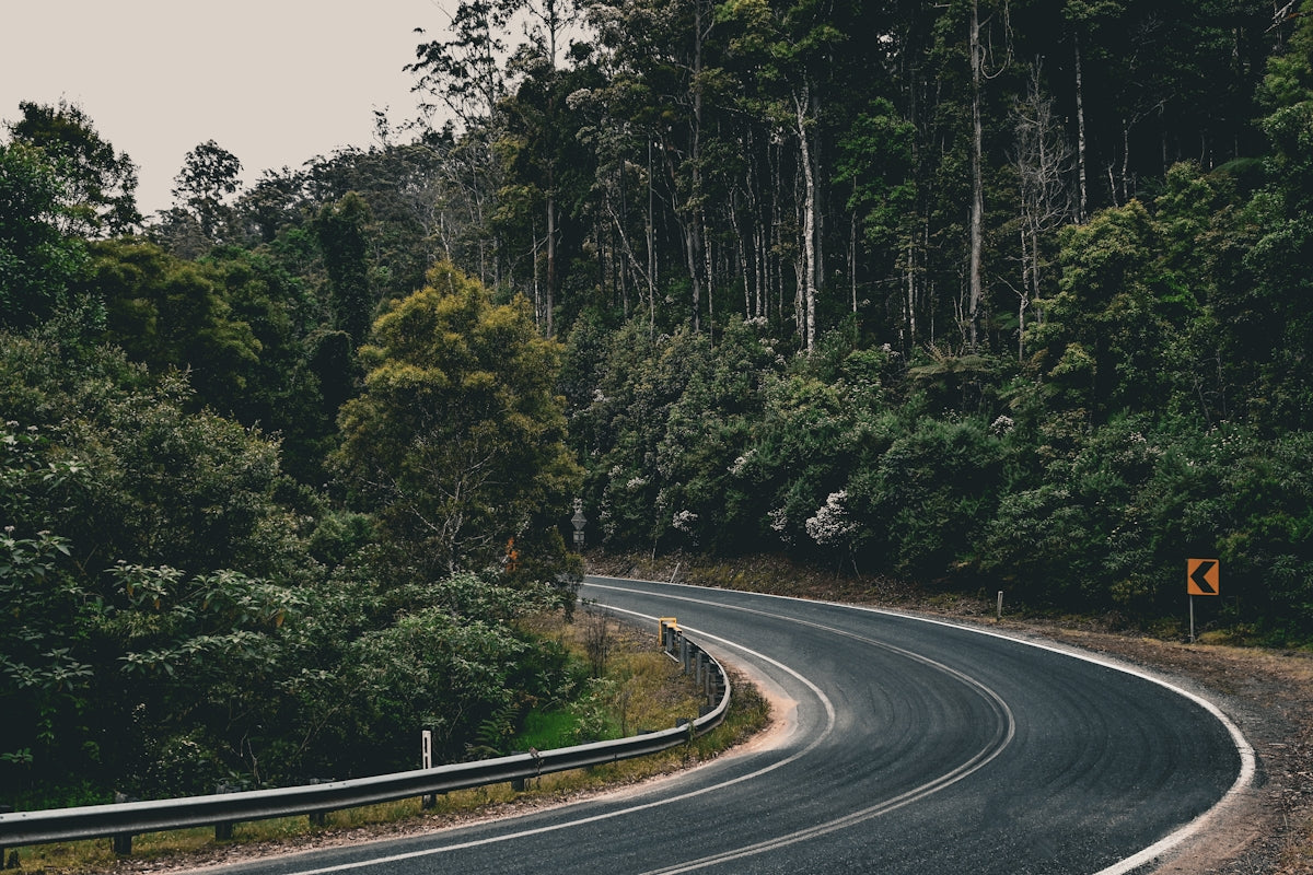 A winding road through lush green forest.