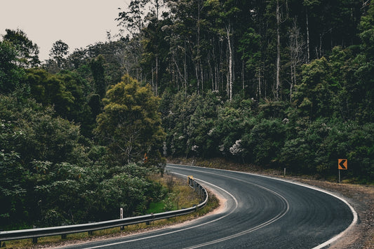 A winding road through lush green forest.