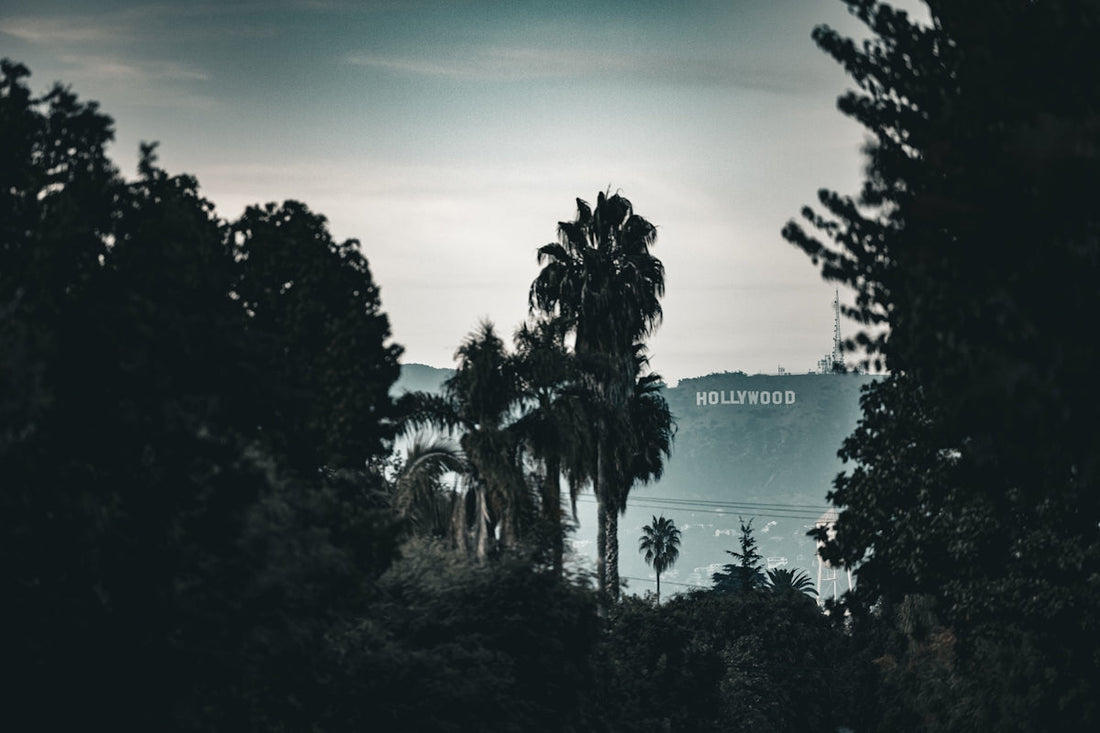 The hollywood sign viewed through trees.