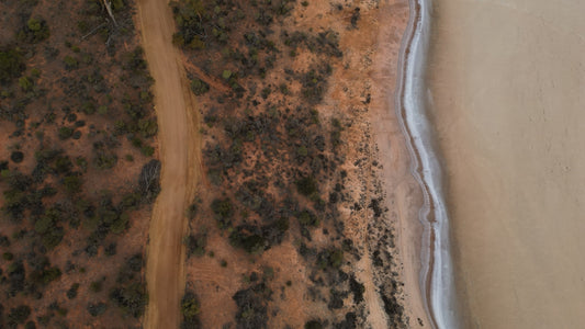 An aerial view of a shoreline and land.