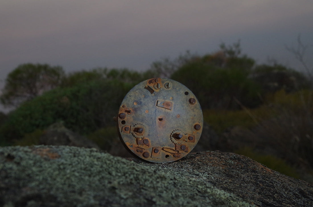 A rusty metal circle sits in nature.
