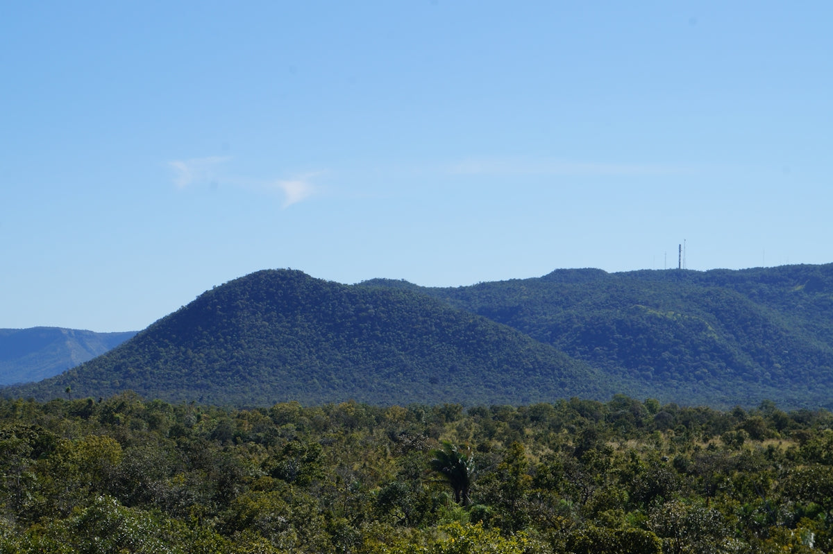 Mountains covered in trees under a clear blue sky.