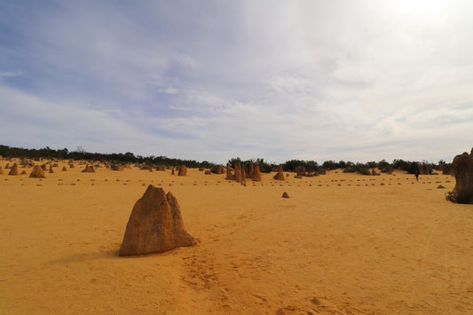 Sand pillars stand in an arid, sunlit landscape.