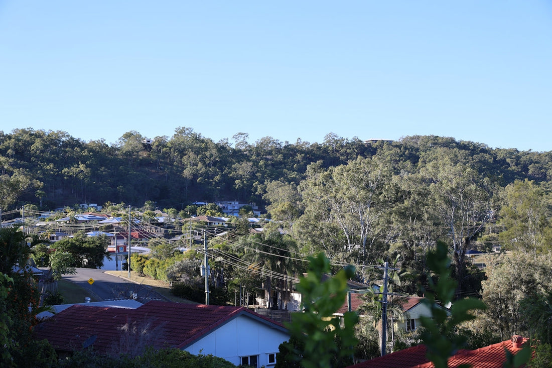 A view of a small town with trees.