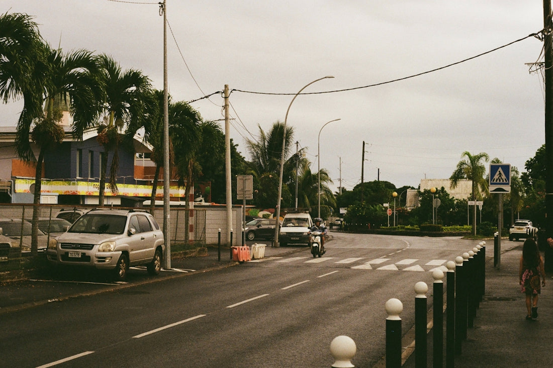 A street view with cars and palm trees.