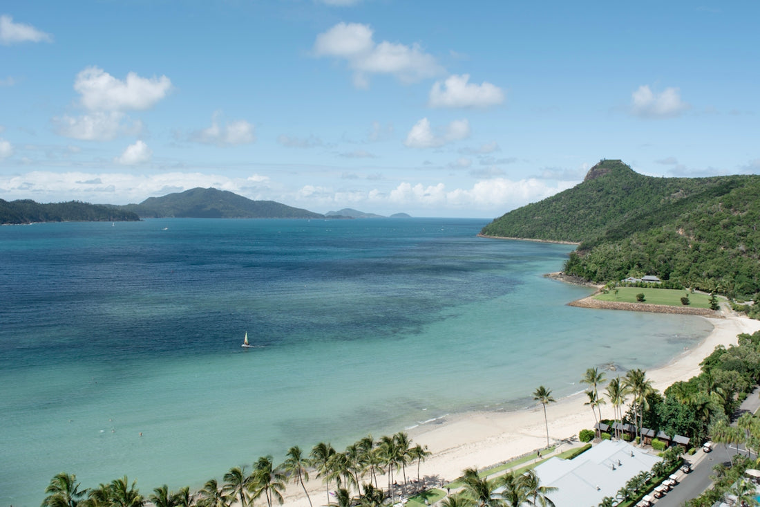 Tropical beach with palm trees and turquoise water
