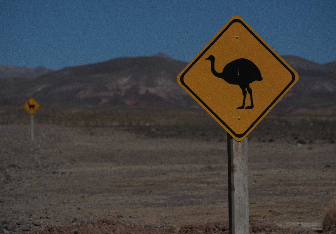 Yellow warning sign with ostrich silhouette