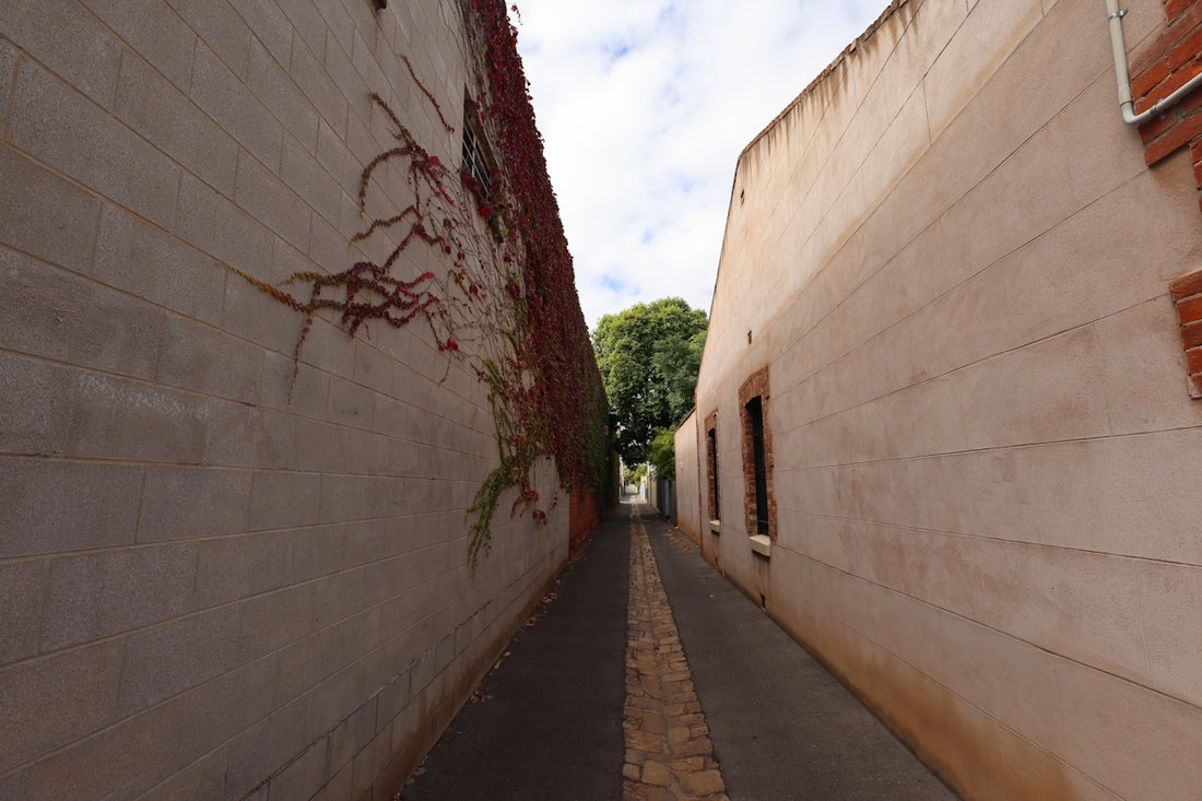 Narrow alleyway between two buildings with ivy