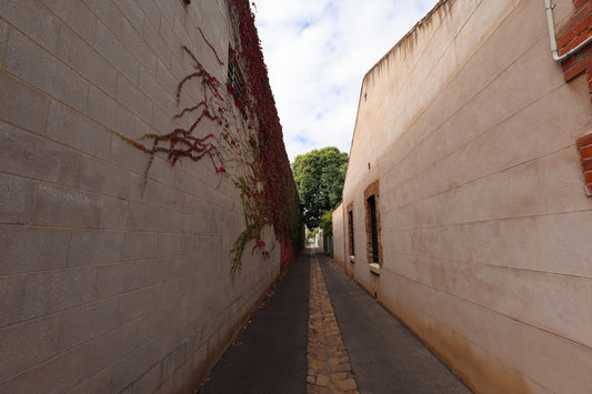 Narrow alleyway between two buildings with ivy