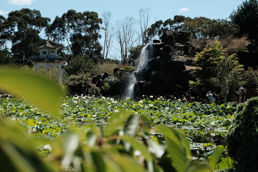 Waterfall cascading into a pond with lily pads