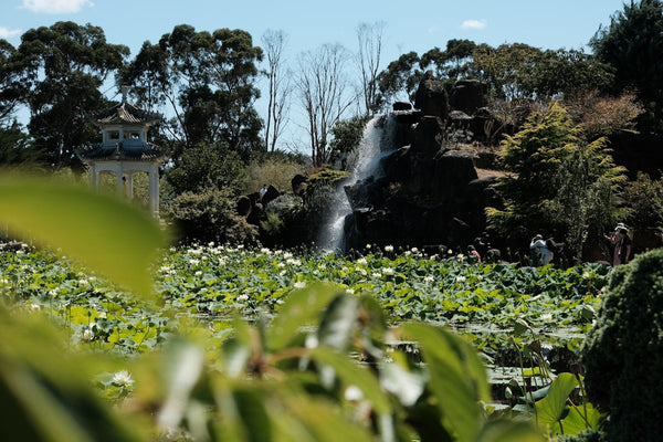 Narre Warren