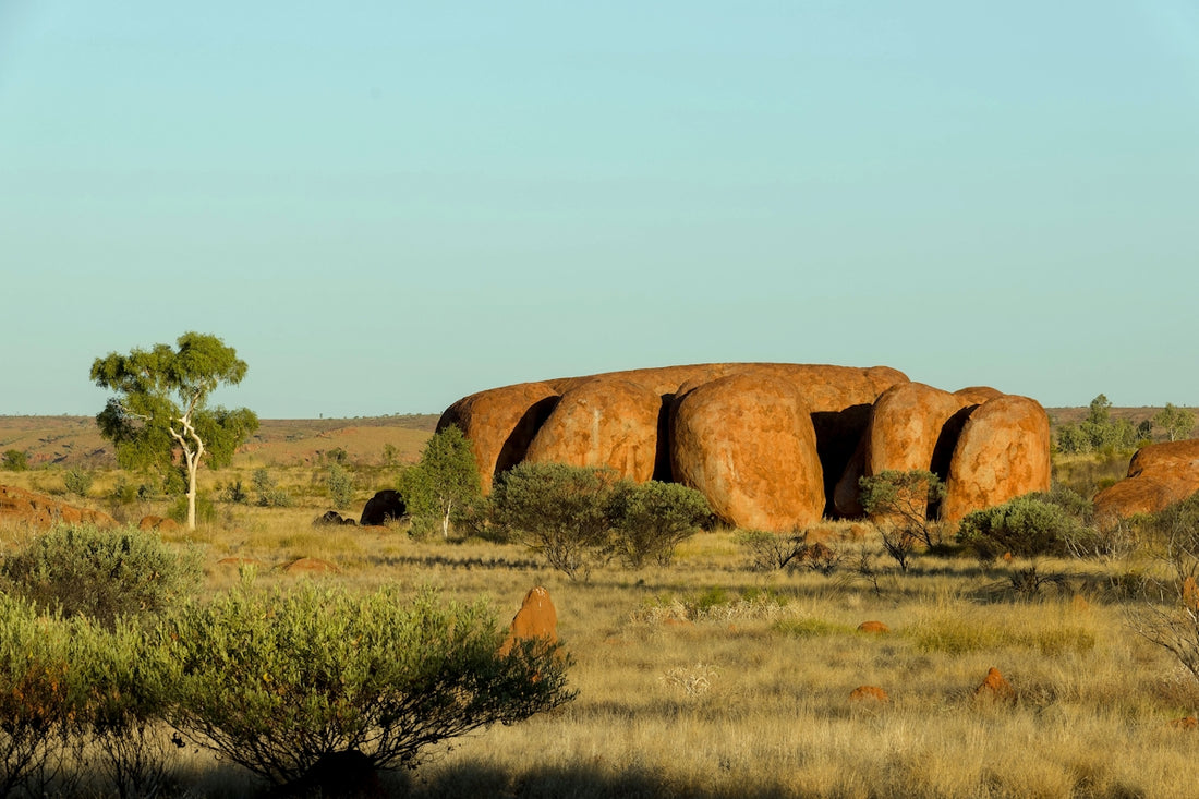 Large rock formation in a dry, grassy landscape.