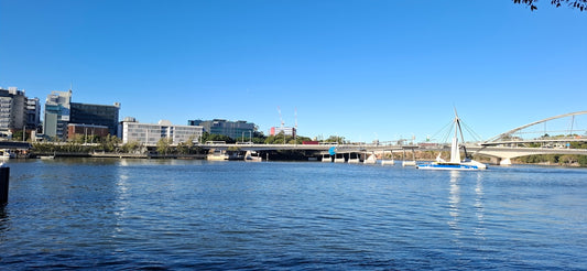 Sailboats on a river with city buildings and bridges.