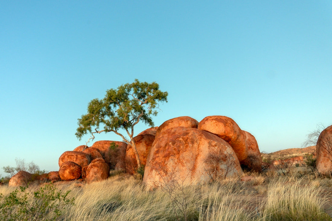 Large rounded boulders with a tree and dry grass.