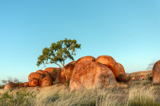 Large rounded boulders with a tree and dry grass.