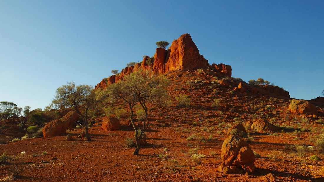Red rock formations with sparse trees under clear blue sky