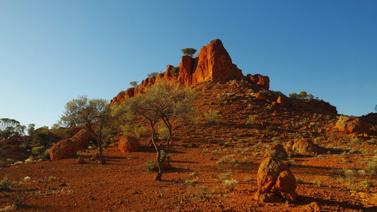 Red rock formations with sparse trees under clear blue sky