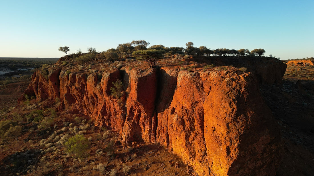 A rocky outcrop with sparse trees under a clear sky
