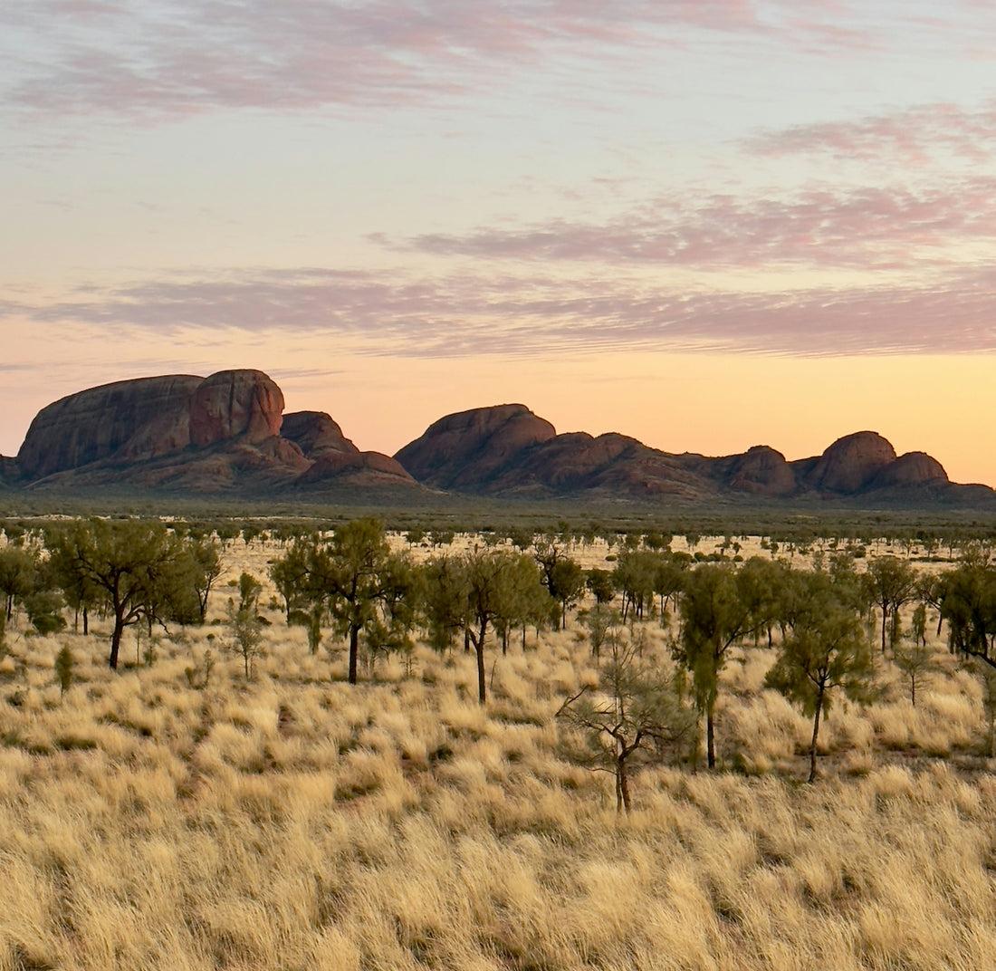A vast australian outback landscape with distant rock formations