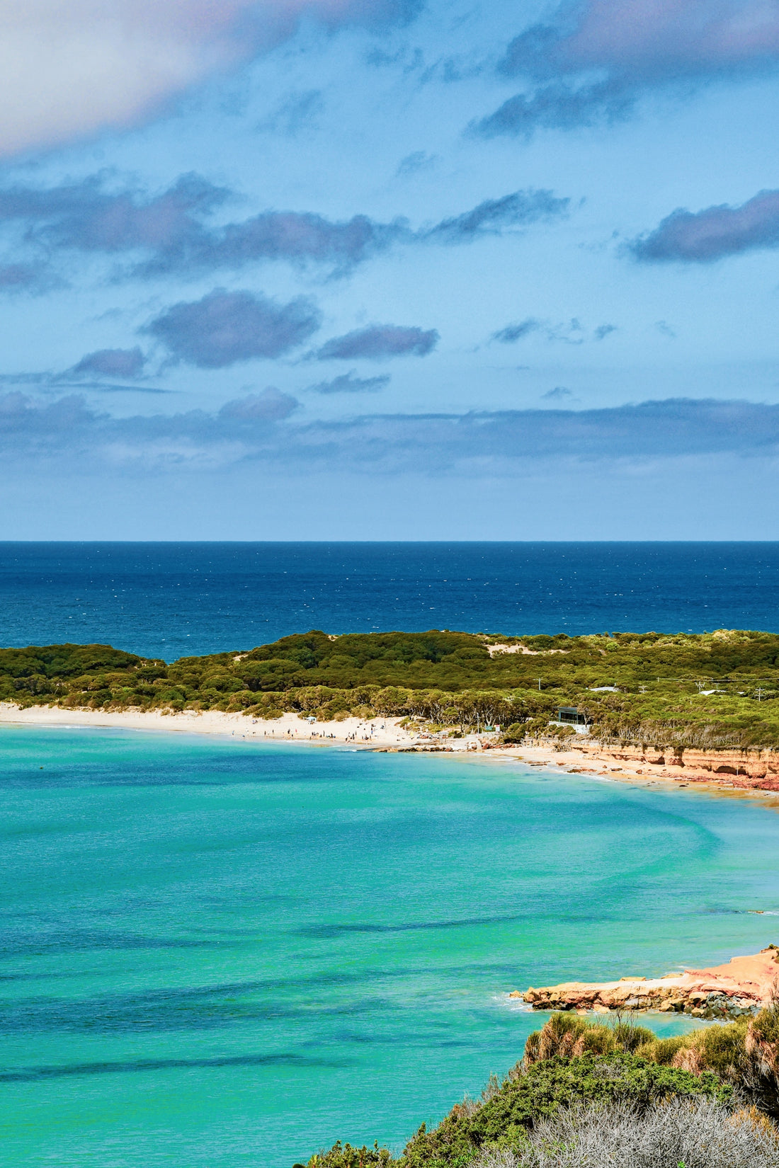 Turquoise ocean water meets a sandy beach with green vegetation.
