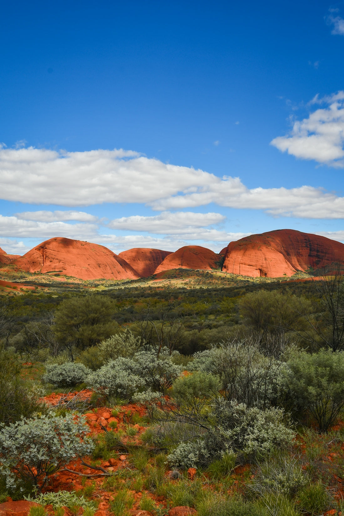Red rock formations under a blue sky with clouds.
