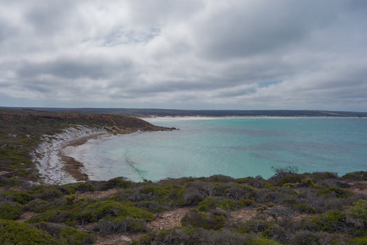 Scenic turquoise bay with rocky shore and green bushes.