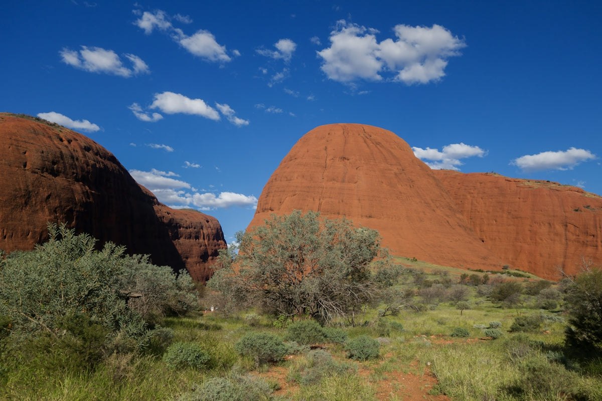 Red rock formations under a blue sky with desert vegetation