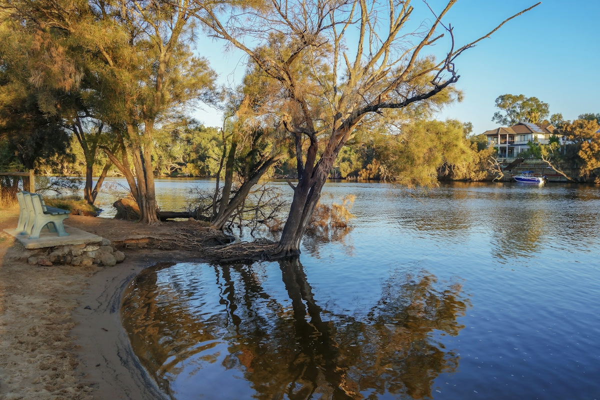 Calm river with leaning trees, reflections, and a sandy bank
