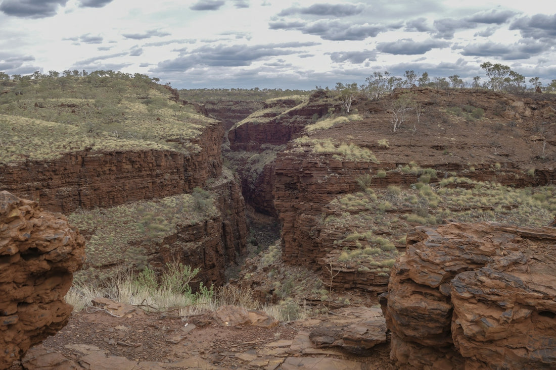 A deep red rock gorge with sparse vegetation under a cloudy sky